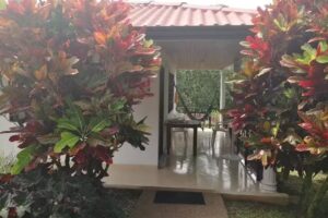 Caba&ntilde;as Amanecer Llanero