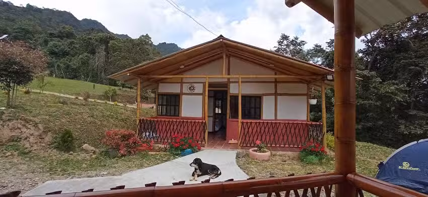 Caba&ntilde;as Bamb&uacute;