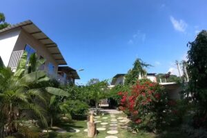 CABA&Ntilde;AS CALIFORNIA