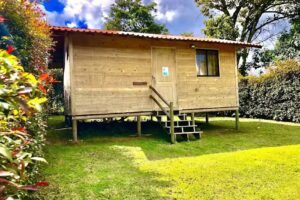 Caba&ntilde;as Crisantema