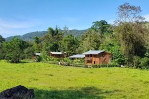 CABA&Ntilde;AS DE ALICANTE