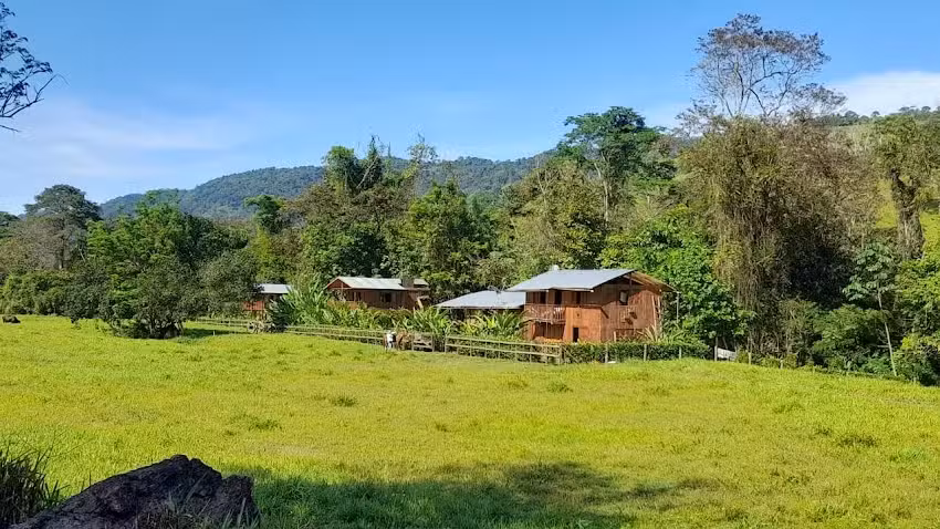 CABA&Ntilde;AS DE ALICANTE