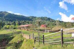 Caba&ntilde;as de bella vista