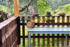 Caba&ntilde;as el Placer