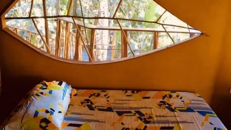 Caba&ntilde;as en los arboles pulm&oacute;n del mundo