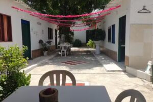 caba&ntilde;as flower