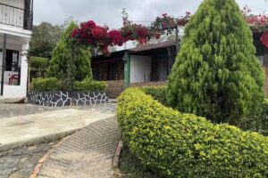 Caba&ntilde;as la Cascada Hospedaje