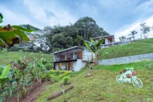 Caba&ntilde;as La Milagrosa