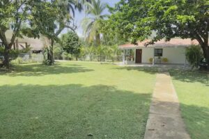 Caba&ntilde;as La Palma