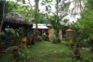 Caba&ntilde;as Las Dracenas