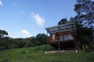 Caba&ntilde;as luz del alba Datil