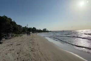 Caba&ntilde;as Marina del Rey