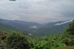 Caba&ntilde;as mirador finca el Porvenir
