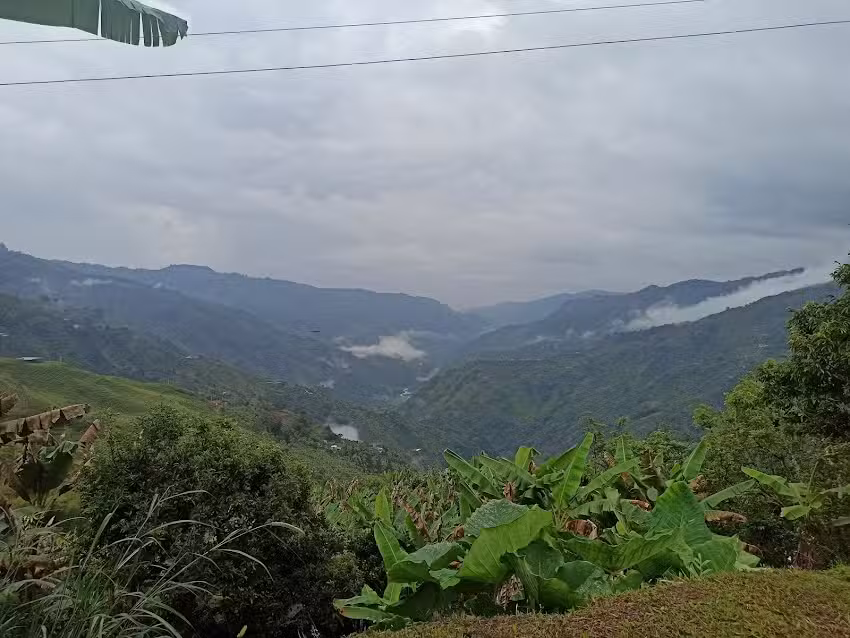 Caba&ntilde;as mirador finca el Porvenir