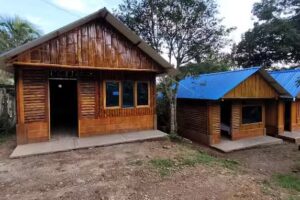 Caba&ntilde;as orquideas