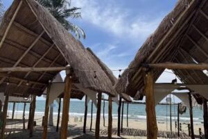 Caba&ntilde;as palmaqua