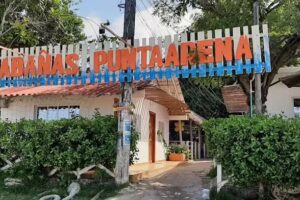 CABA&Ntilde;AS PUNTA ARENA