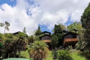 Caba&ntilde;as Sue&ntilde;o Real Guatap&eacute;