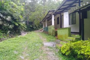 Caba&ntilde;as Taboga