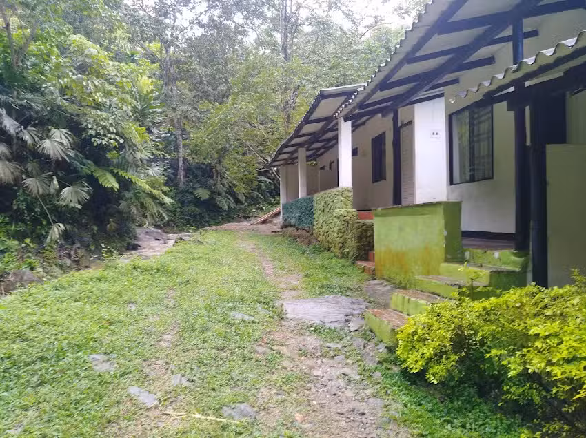 Caba&ntilde;as Taboga