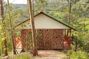 Caba&ntilde;as Tamborillo