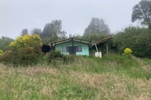 Caba&ntilde;as Thoumi