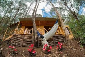 Caba&ntilde;as Vista Majuy