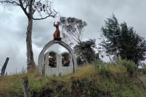 CACHOVENADO SABOYA (BOYACA)