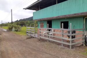 Cacique spearfishing &ndash; Cupica