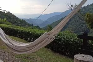 Café de la Cima – Hospedaje La opción perfecta para los amantes de la naturaleza y la tranquilidad