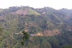 Caf&eacute; Santa Cecilia