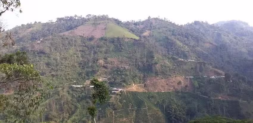 Caf&eacute; Santa Cecilia