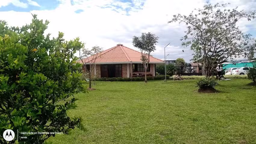 Calibio