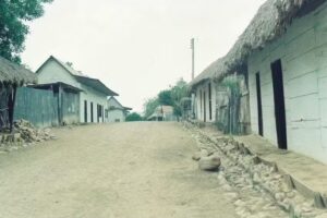 CALLE LAS FLORES COLOSO