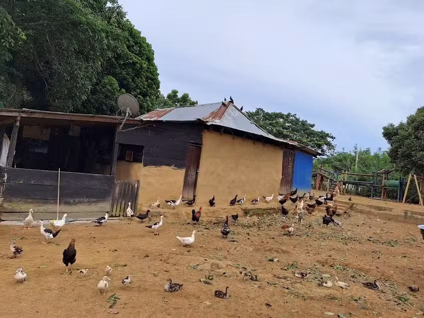 CAMARON &ndash; SANTO DOMINGO DE MESA