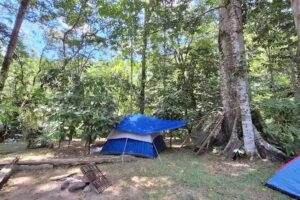 Camping El Tigrillo by Los Colores Ecoparque