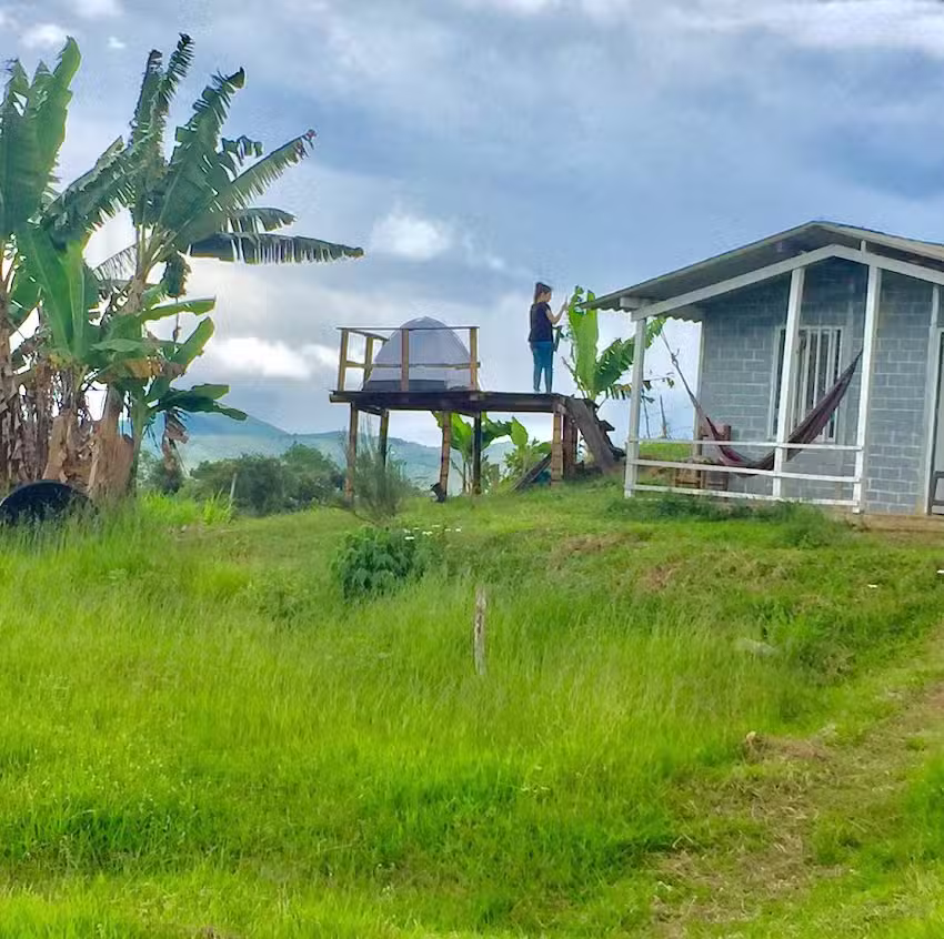 Camping Tierra Violeta