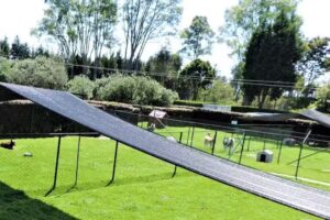 CANES CLUB HOUSE SAS