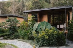 Cantos del R&iacute;o