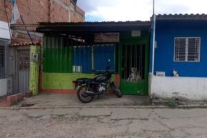 Carlos Ramires Paris