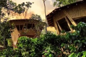 Casa Bamb&uacute; Glamping