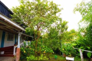 Casa Campesina Hostel