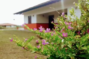 Casa campestre El Pe&ntilde;ol