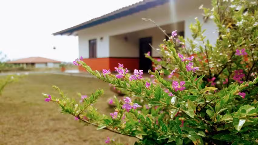 Casa campestre El Pe&ntilde;ol