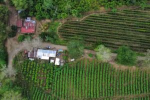 Casa cicl&iacute;stica Villa Lulu