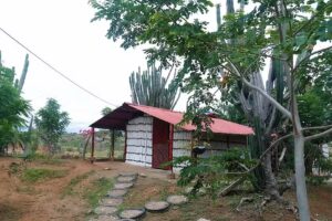 Casa De Campo Los Cactus