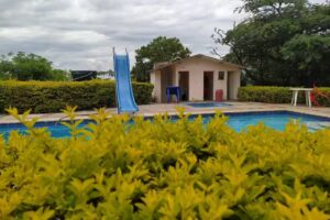 Casa de las dos palmas