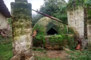 Casa de las T&iacute;as Viveros