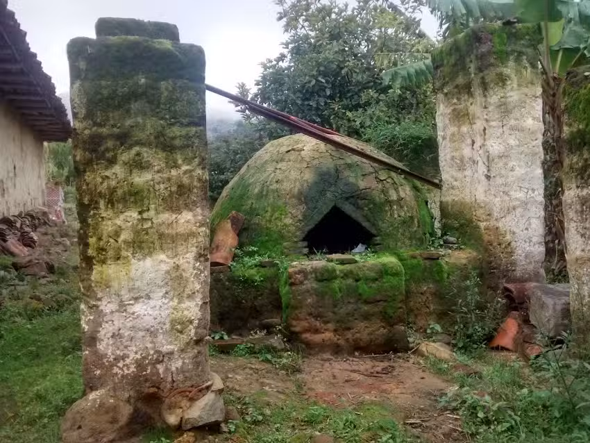 Casa de las T&iacute;as Viveros