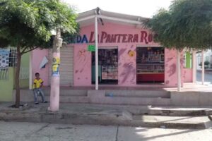 CASA DEL MOHICANO DORADO